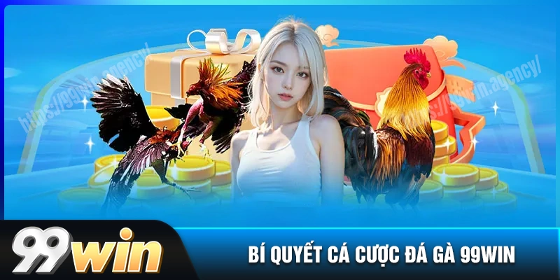 bi-quyet-vang-de-choi-da-ga-99win-luon-chien-thang