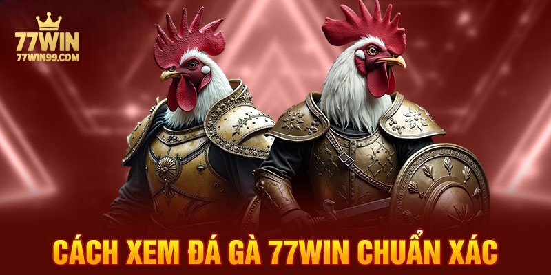 cach-xem-da-ga-77win-chuan-xac